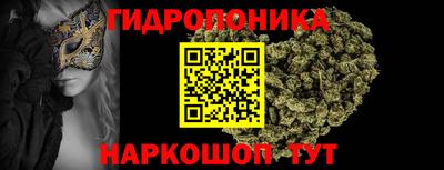 молекула духа Краснознаменск