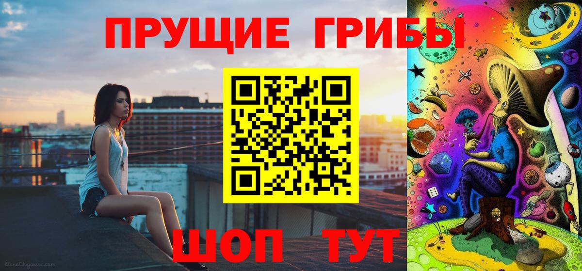 Зеленокумск  Галлюциногенные грибы Cubensis  Вход с VPN  Псилоцибиновые грибы прущие грибы 