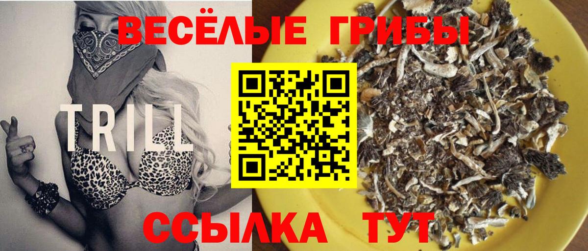 Псилоцибиновые грибы ЛСД Зеленокумск