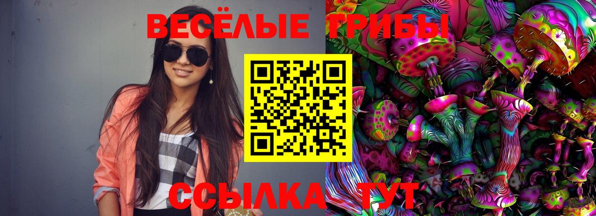 Амфетамин Зеленокумск